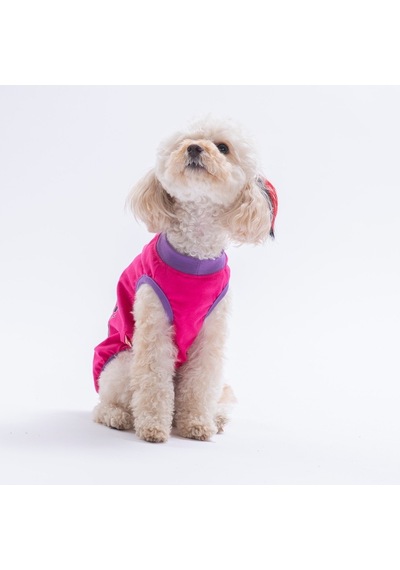 Fuchsia-fuşya Just Smile Tişört Kedi Köpek Tişörtü-kedi Köpek Kıyafeti Fuchsia-fuşya Just Smile Tişört Kedi Köpek Tişörtü-kedi Köpek Kıyafeti