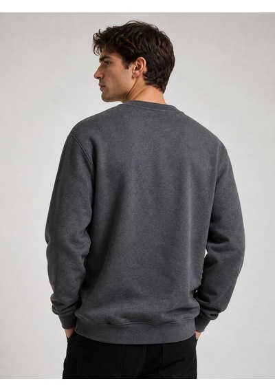 Raru Antrasit Erkek Spor Sweatshirt - Frux