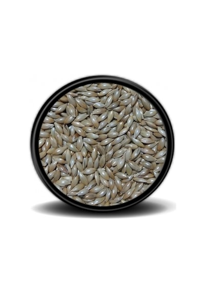 Aspur Açık Mama 1 KG