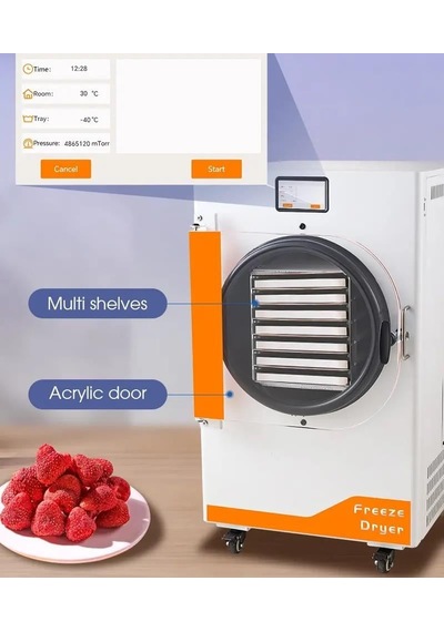 Dalle Dfd-20 Yüksek Teknolojili Freeze Dryer Dondurarak Kurutma Fırını - Liyofilizatör