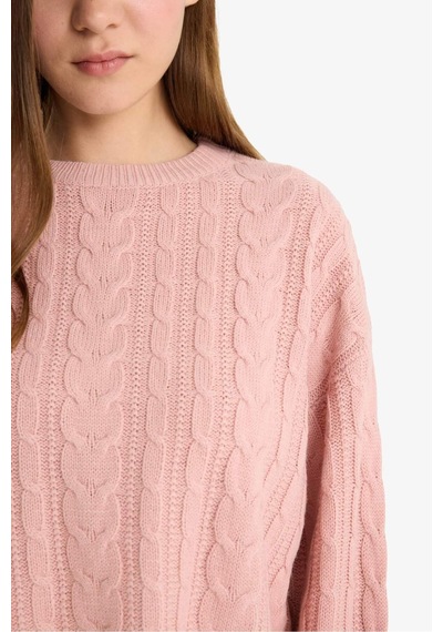 Defacto Coool Regular Fit Bisiklet Yaka Triko Kazak T4518az25wnpn83 Pembe