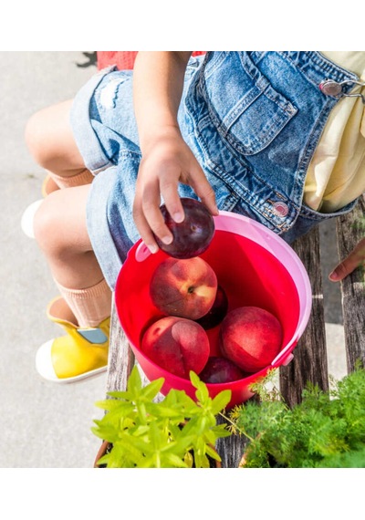 Quut Bucki Elekli Kova Cherry - Banana Pink 173052
