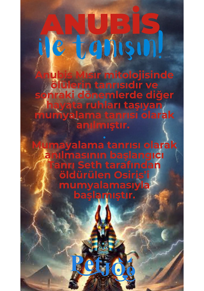 Petjoo 30.Anubis Mavi-Kırmızı Qr'lı Köpek Künyesi