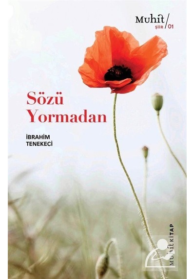 Sözü Yormadan / İbrahim Tenekeci