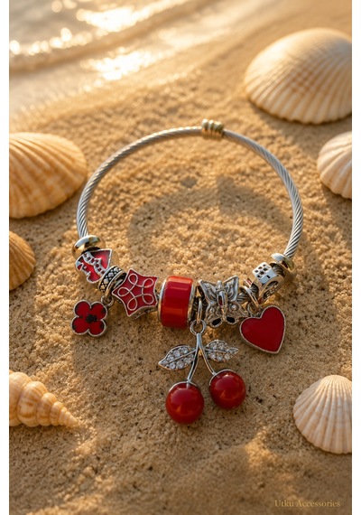 Stainless Steel Charm Gümüş Ayarlanabilir Renkli Çelik Bileklik