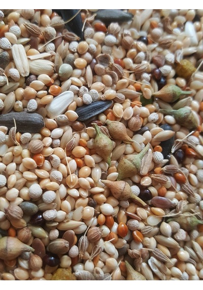Sultan Papağani Yemi̇ 500 Gr