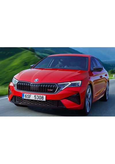 Dk Tuning Skoda Ön Kaput 9cm Yeni Nesil Gri Siyah Logo Amblem