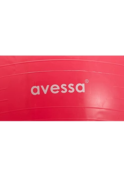 Avessa 55 Cm Pompalı Pilates Topu
