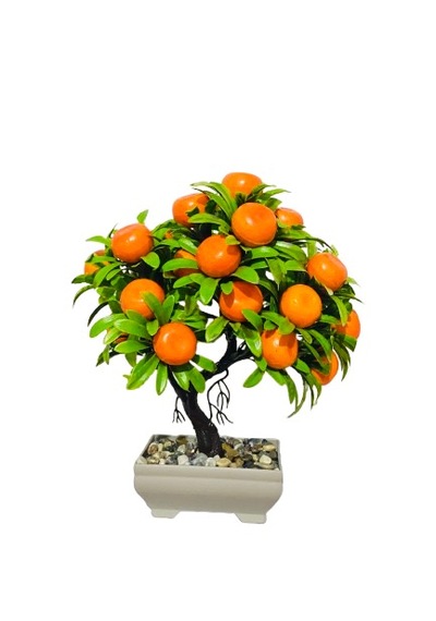 Dekoratif Mandalina Ağacı - Doğal Görünümlü . Meyveli Masa Üstü Mandalina Ağacı Turuncu - Yeşil