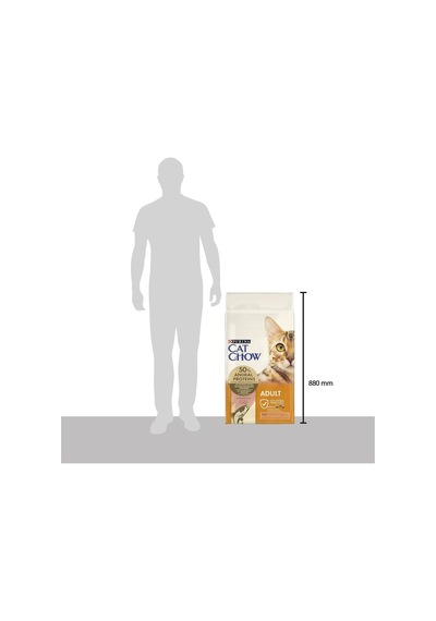 Cat Chow Somonlu Kuru Kedi Maması 15kg