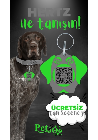 Petjoo 26.Hertz Yeşil-Gri Qr'lı Köpek Künyesi