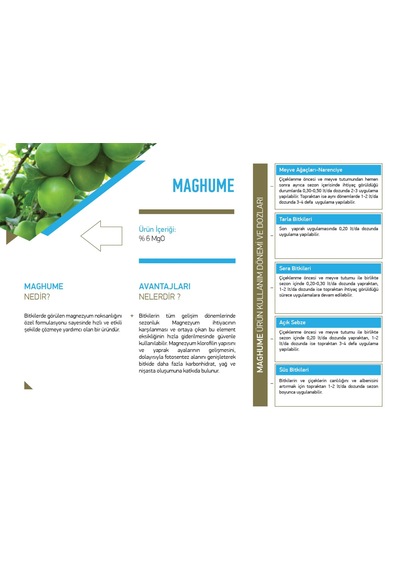 Hekagro Microboost Mag Hume Magnezyum Sülfat Çözeltisi 1 L