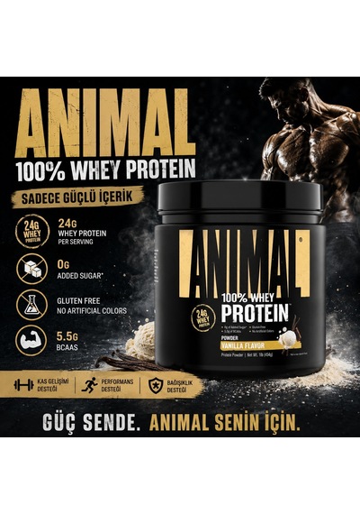 Universal Animal Whey Protein 454 Gr - Vanilya