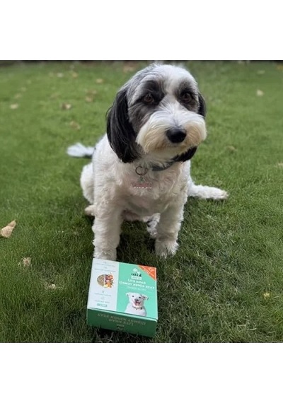 %100 Taze İçerikli Dana Etli Köpek Maması 250 Gr