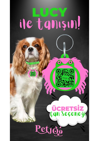 Petjoo 11.Lucy Pembe-Yeşil Qr'lı Köpek Künyesi