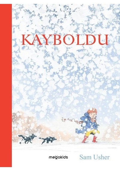 Kayboldu - Sam Usher - Megakids Yayıncılık