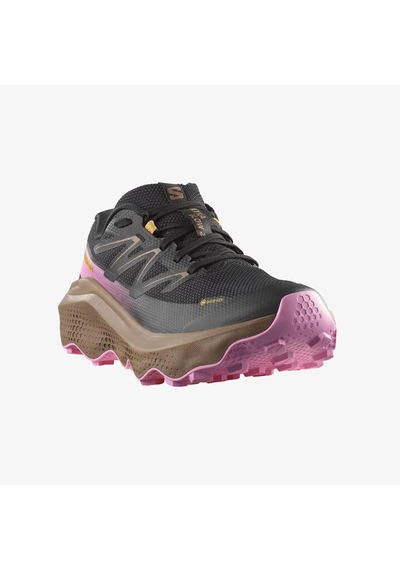 Salomon Ultra Flow 2 Gtx Kadın Outdoor Koşu Ayakkabısı L47884400 Siyah Siyah