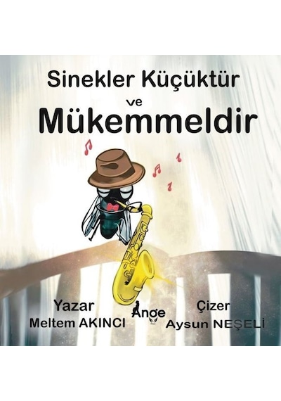 Sinekler Küçüktür ve Mükemmeldir - Meltem Akıncı - Ange Yayınları