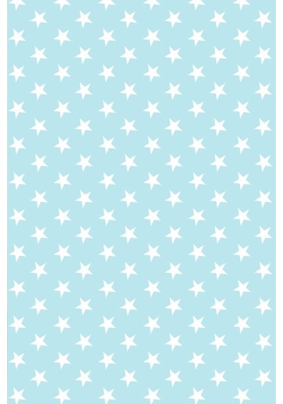 Premier Home Yıldız Desenli Fon Perde Mint 170X270 (472220268)