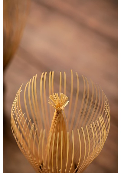 Shiratake Bambu Matcha Çayı Karıştırıcı Fırça Bamboo Whisk Köpürtücü Mt207 Ahşap