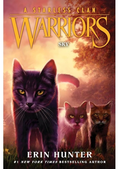 Sky - Warriors. A Starless Clan