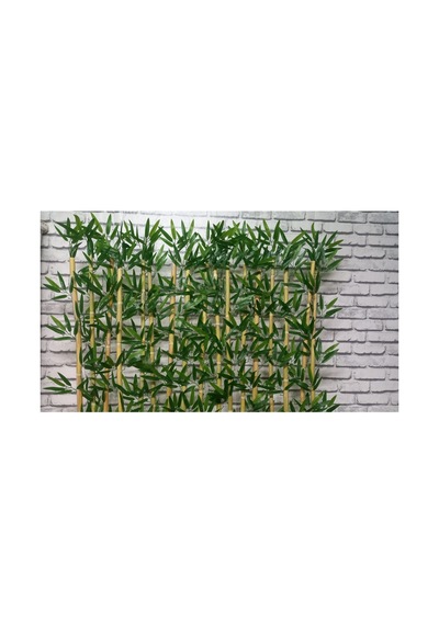 100 Cm Saksıda 200 Cm 15li Bambu Speratör Çok Renkli