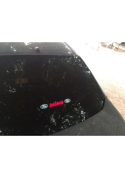 Ford Fiesta Pandizot Polyesterli Kabartmalı 2 Port Işıklı N11.160