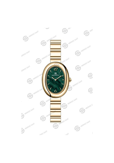 Momentus Women's Classy Cw326g-15sg Çok Renkli