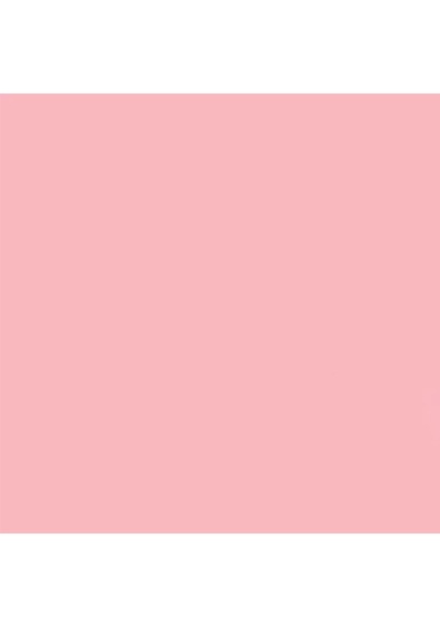 Gdx Seyyar Kağıt Sonsuz Stüdyo Fon Perde Coral 2.70x11 Metre