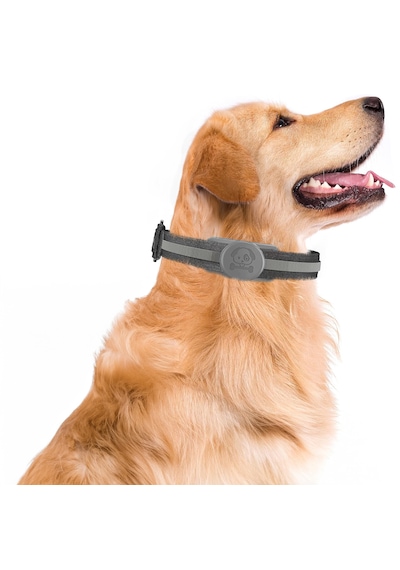 Buff Tagsafe Dogcol Taşınabilir Anahtarlık Apple Uyumlu AirTag Kılıf Gray