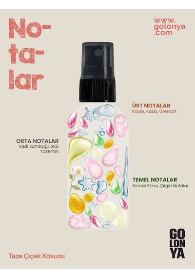Golonya Aqua + Fresh Blossom + Remix + Spice Sprey Kolonya 4 x 100 ML