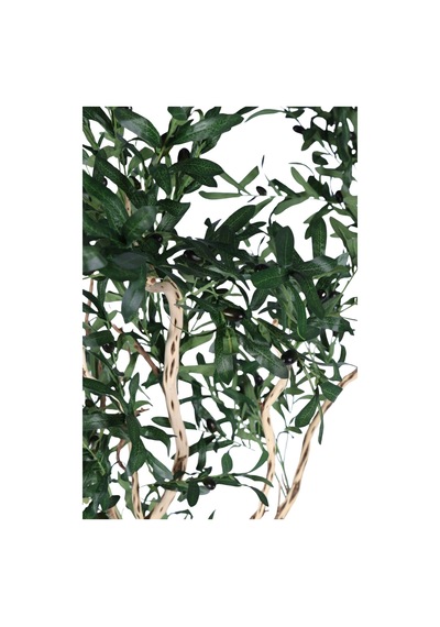 Yapay Çiçek Sitesi Fiber Saksıda Bonsai Gövdeli Premium Yapay Zeytin Ağacı 180 Cm Yeşil