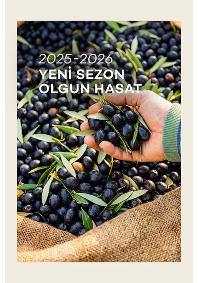 Kozoliv Soğuk Sıkım Naturel Sızma Zeytinyağı Teneke 2 L