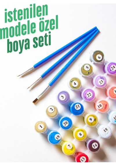 Modele Özel Tüm Renkleri İçeren Boya Seti Sayılarla Boyama