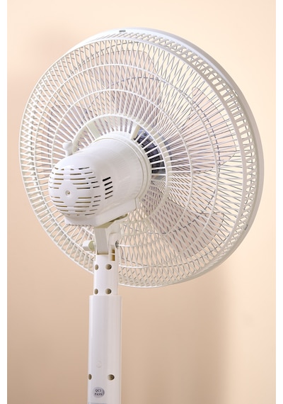 Homend Fanomen 9010h Hız ve Açı Ayarlı Döner Başlıklı Ayaklı Vantilatör 55W