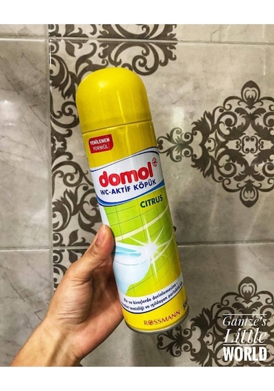 Domol Limon Özlü Tuvalet Temizleyici Köpük 500 ML
