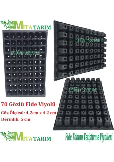 70 Göz Fide Viyolu, 3 Adet, Fide Viyolü, Fidelik (394050206)