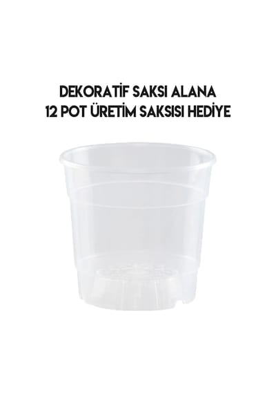 Siyah Orkide Saksısı Dekoratif Dış Saksı 1 Adet- 12 Pot Şeffaf Orkide Üretim Saksısı Hediyeli Siyah