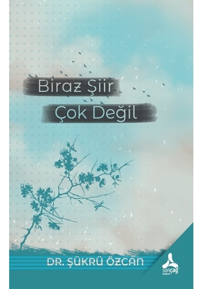 Biraz Şiir Çok Değil