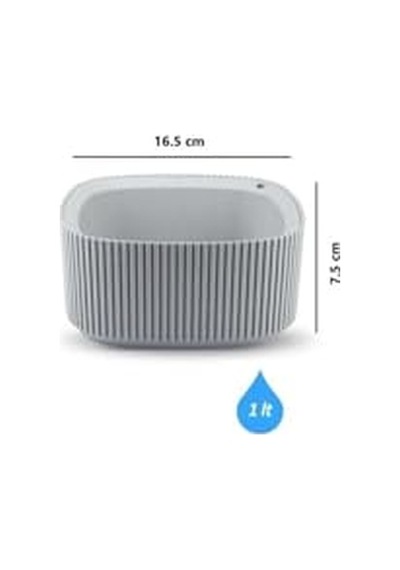 Ayrex Omnipazar Krs-247 Pera Aranjman Kaktus Sukulent Saksı 1 Litre 3'lü Set