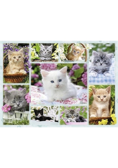 Ravensburger Puzzle 500 Parça Sepette Kedi.