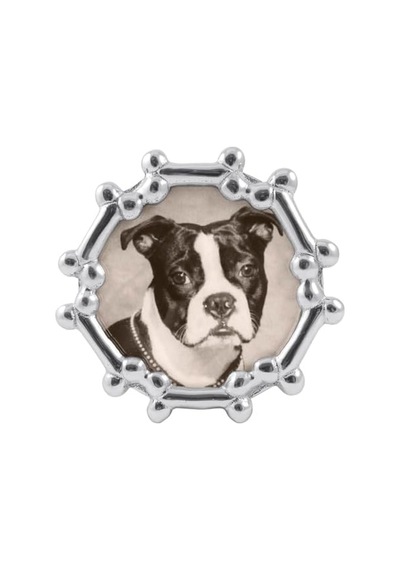 Köpek Kemik Yuvarlak Çerçeve Gümüş 4 X 6