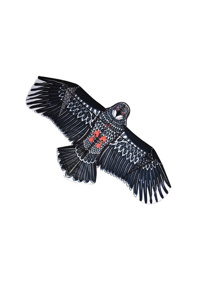 Fiberglass 3d Kartal Eagle Kuş Desenli Uçurtma Oyuncak Geliştirme Parti Eğlenceli Çocuk Oyuncakları