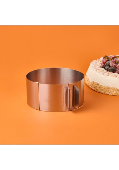 Excellentt Houseware Ayarlanabilir Kek Kalıbı - Inox - 30 Cm Renkli