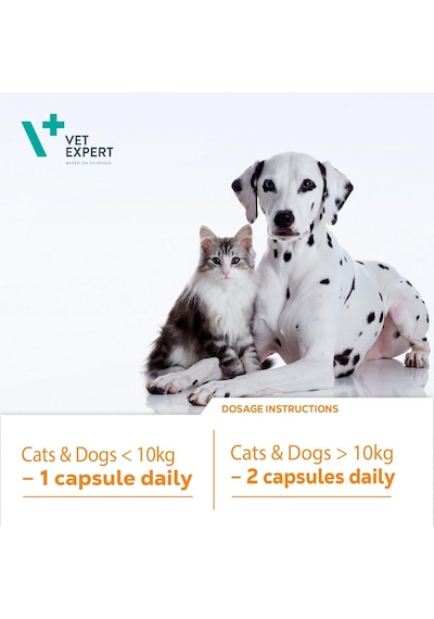 Vet Expert Vetomune