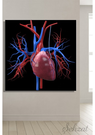 Duvar Tablosu Kare Kanvas Bypass Kalp Anatomisi Aort Damar Cerrahı Kardiyoloji 3d Çok Renkli