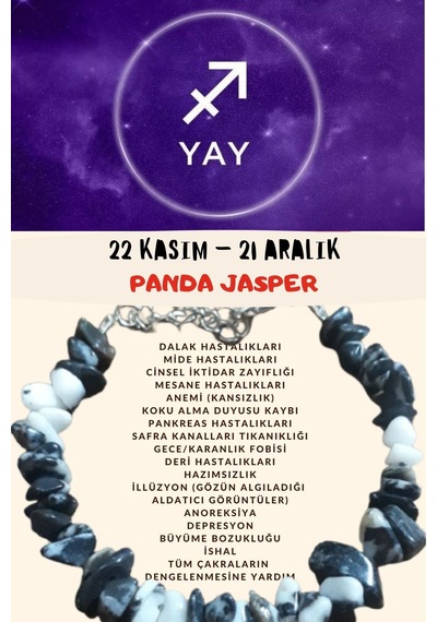 Gümüştel El Sanatları Sertifikalı Burç Taşı Yay Burcu Jasper Taşı Bileklik Çok Renkli