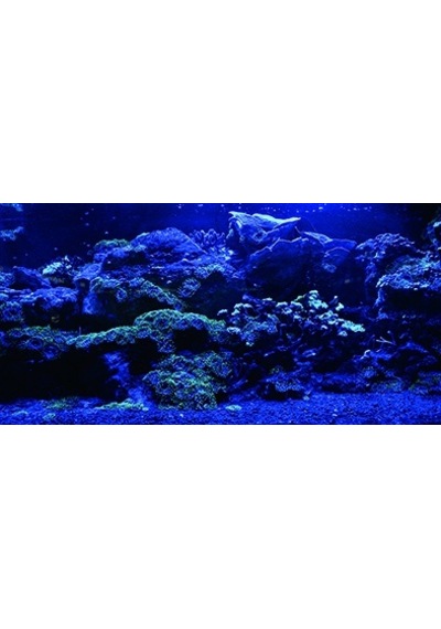 Kanki Pet Akvaryum Arka Fon Yapıştırma 125x63 Cm Kp1256325