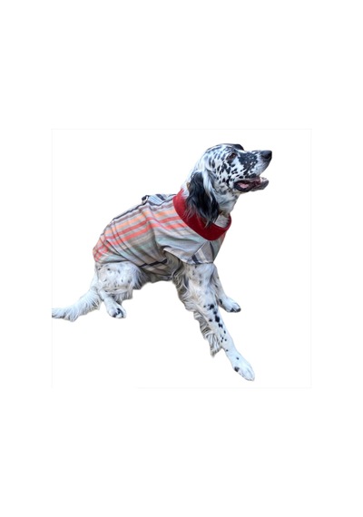 Kemique Stripe Orta ve Büyük Irklar için Köpek Ceketi