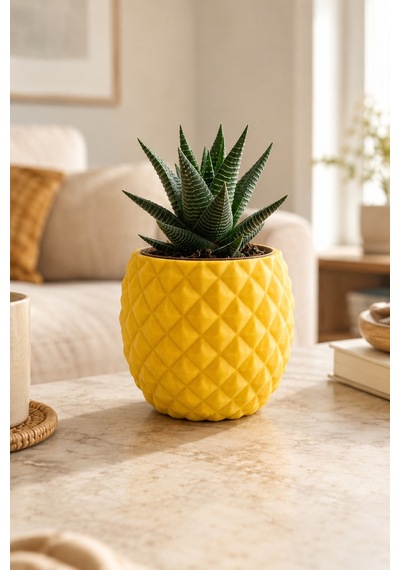 Geometrik Desenli Sukulent Saksısı Mini Kaktüs Saksı Masa Üstü Dekoratif Pla Saksı 7.7x6.5 Cm